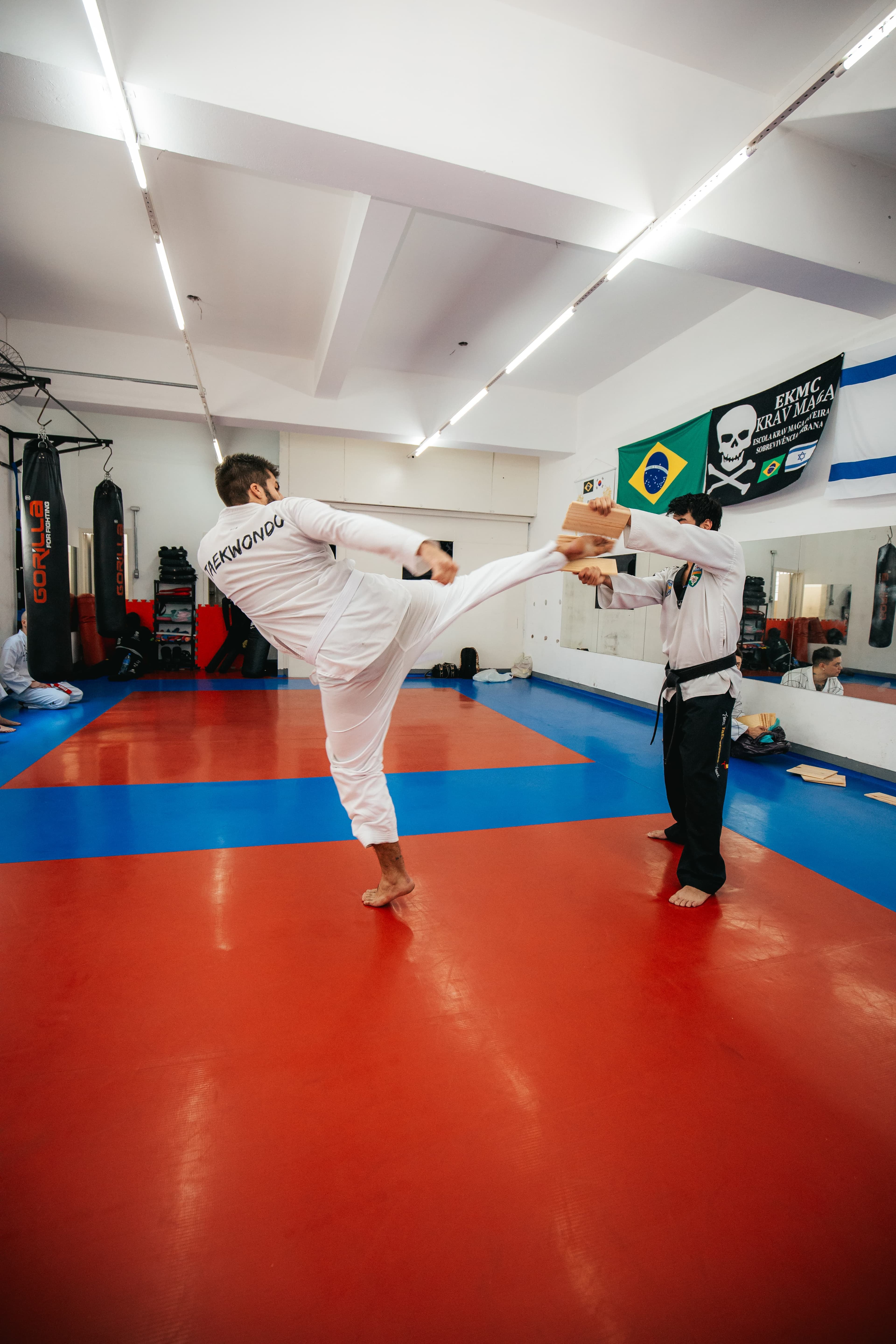 Princípios do Taekwondo