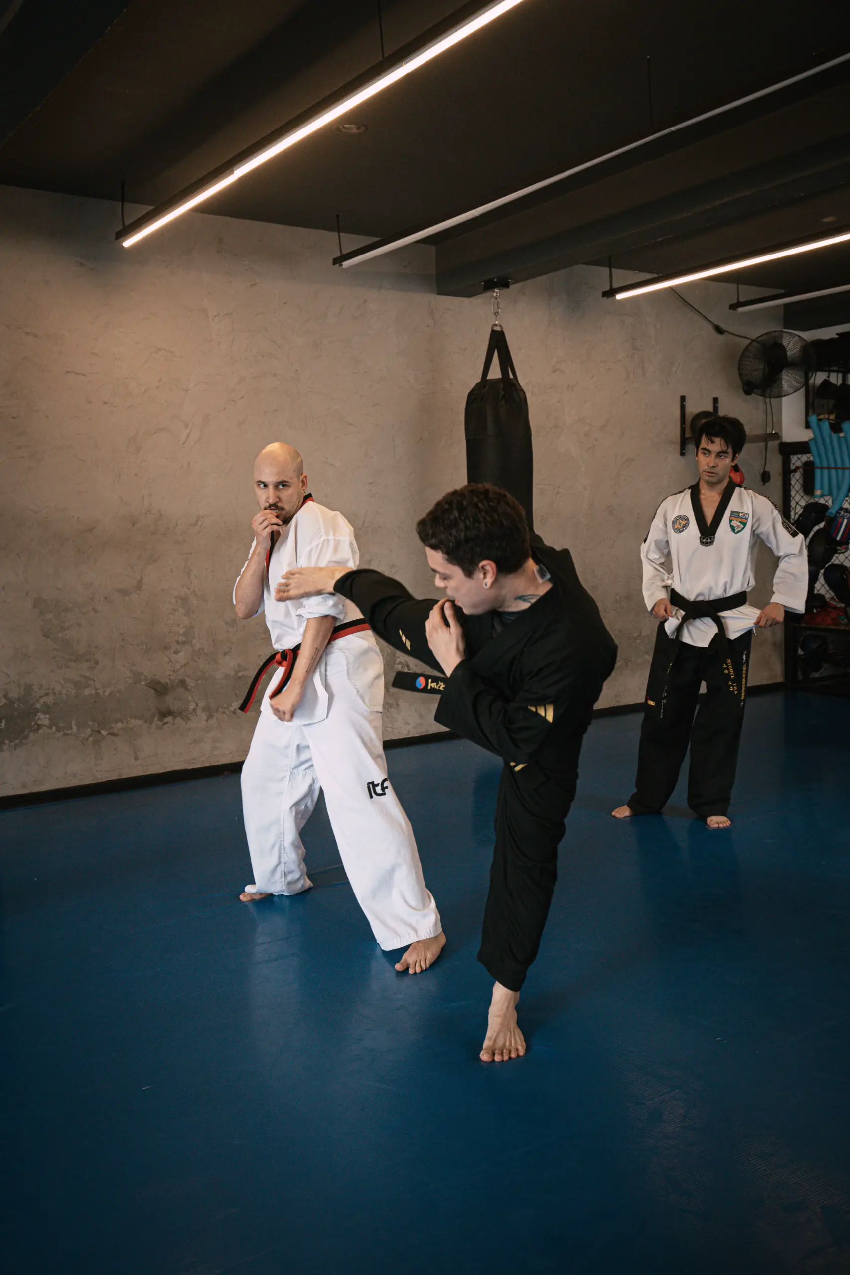 Defesas e Poomsae